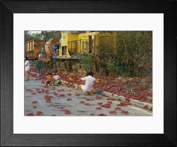 Framed Print : Picture No. 10765249 Framed Print : Picture No. 10765249