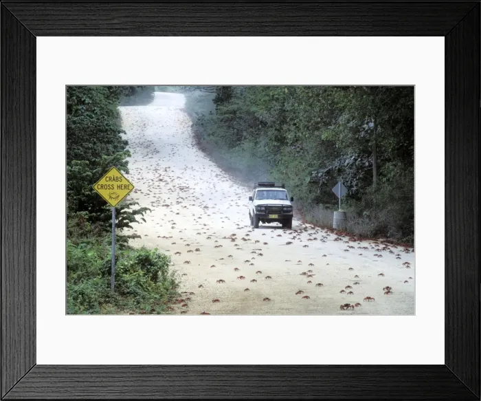 Framed Print : Picture No. 10765255 Framed Print : Picture No. 10765255