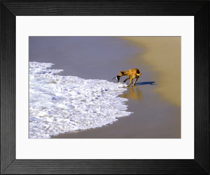 Framed Print : Picture No. 10765313 Framed Print : Picture No. 10765313