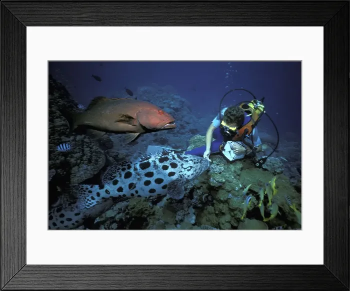 Framed Print : Picture No. 10765382 Framed Print : Picture No. 10765382