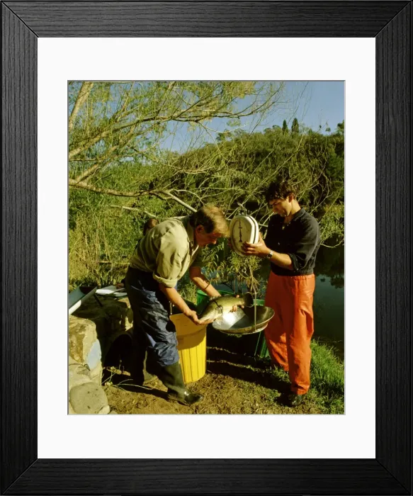 Framed Print : Picture No. 10765534 Framed Print : Picture No. 10765534