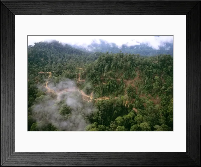 Framed Print : Picture No. 10765569 Framed Print : Picture No. 10765569
