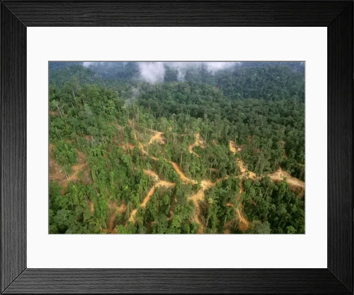 Framed Print : Picture No. 10765570 Framed Print : Picture No. 10765570