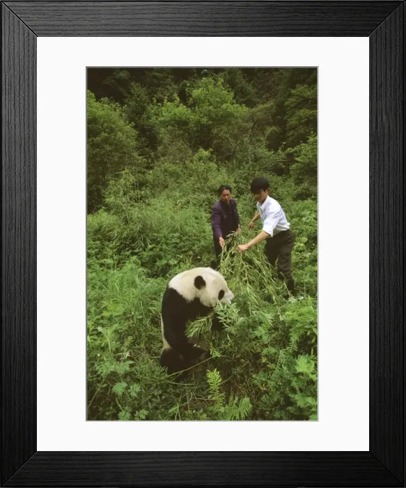 Framed Print : Picture No. 10765647 Framed Print : Picture No. 10765647