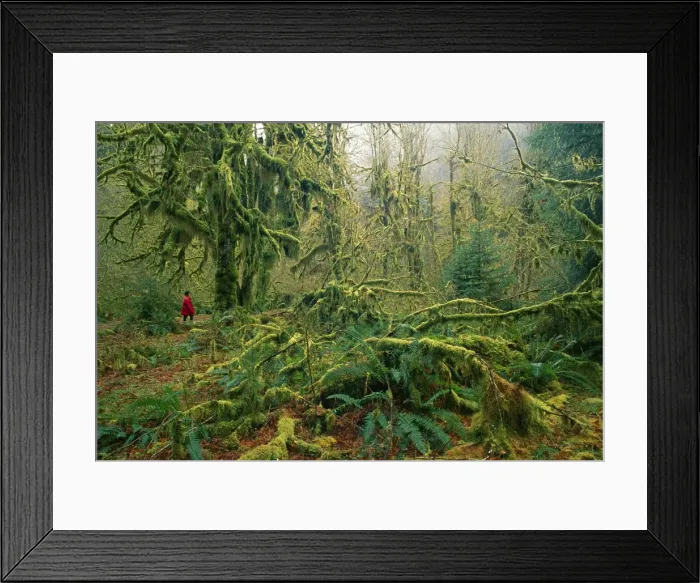 Framed Print : Picture No. 10765533 Framed Print : Picture No. 10765533
