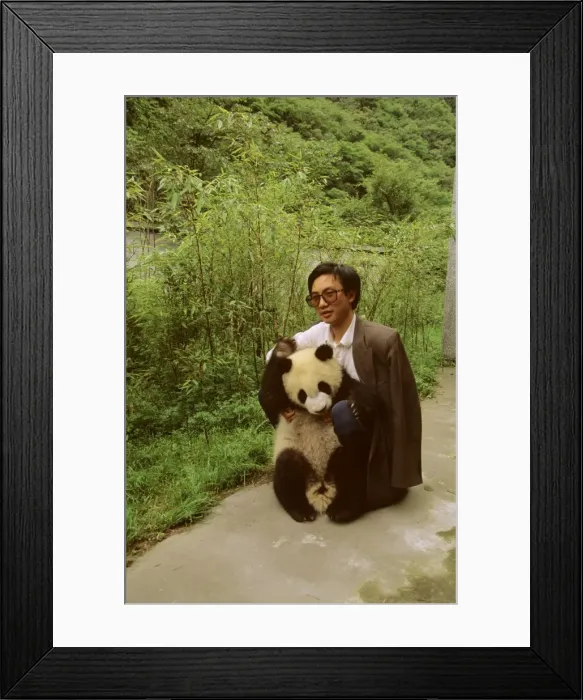 Framed Print : Picture No. 10765664