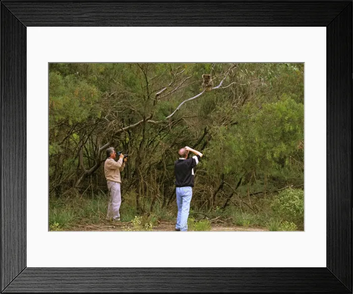 Framed Print : Picture No. 10765797 Framed Print : Picture No. 10765797