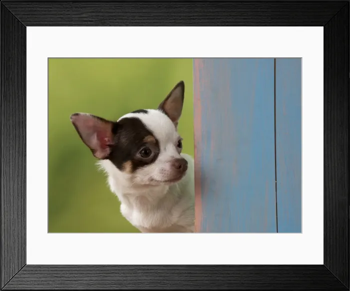 Framed Print : Picture No. 10983299 Framed Print : Picture No. 10983299