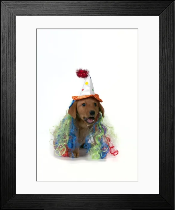 Framed Print : Picture No. 10983285 Framed Print : Picture No. 10983285