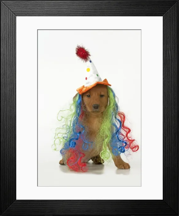 Framed Print : Picture No. 10983286 Framed Print : Picture No. 10983286