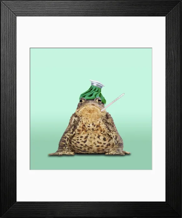 Framed Print : Picture No. 10983292 Framed Print : Picture No. 10983292