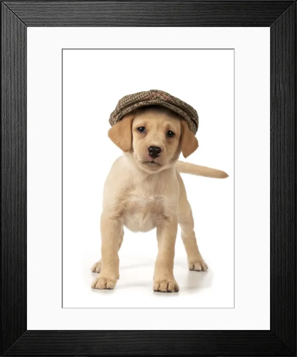 Framed Print : Picture No. 10983275 Framed Print : Picture No. 10983275