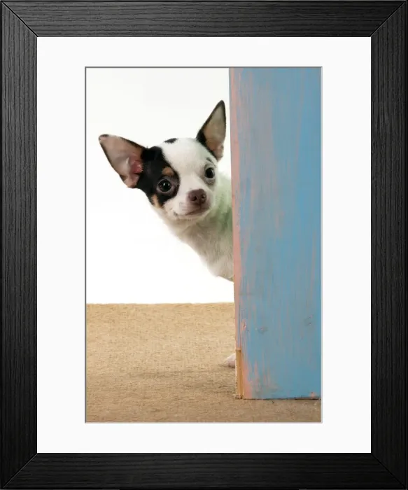 Framed Print : Picture No. 10983290 Framed Print : Picture No. 10983290