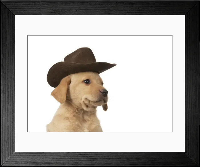 Framed Print : Picture No. 10983277 Framed Print : Picture No. 10983277