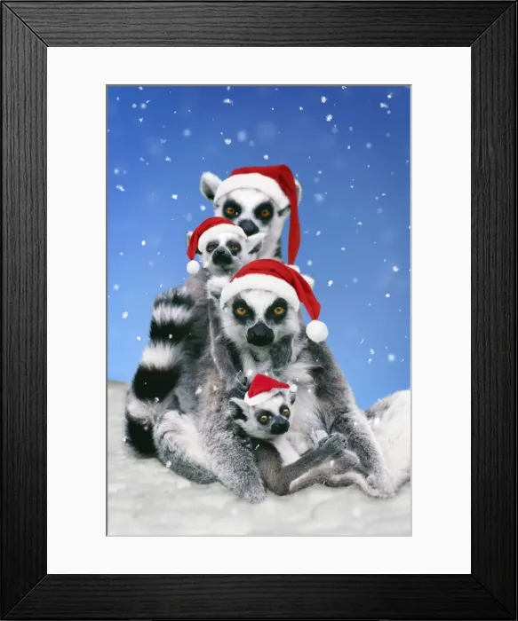 Framed Print : Picture No. 10983297 Framed Print : Picture No. 10983297