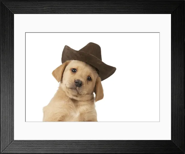 Framed Print : Picture No. 10983278 Framed Print : Picture No. 10983278