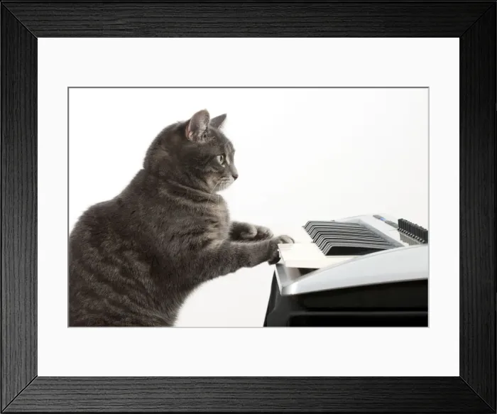 Framed Print : Picture No. 10983680 Framed Print : Picture No. 10983680