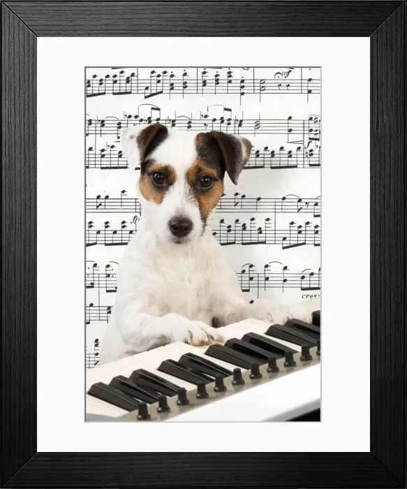 Framed Print : Picture No. 10983689 Framed Print : Picture No. 10983689