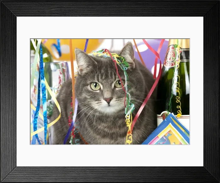 Framed Print : Picture No. 10983664