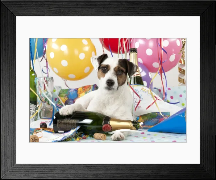 Framed Print : Picture No. 10983668 Framed Print : Picture No. 10983668