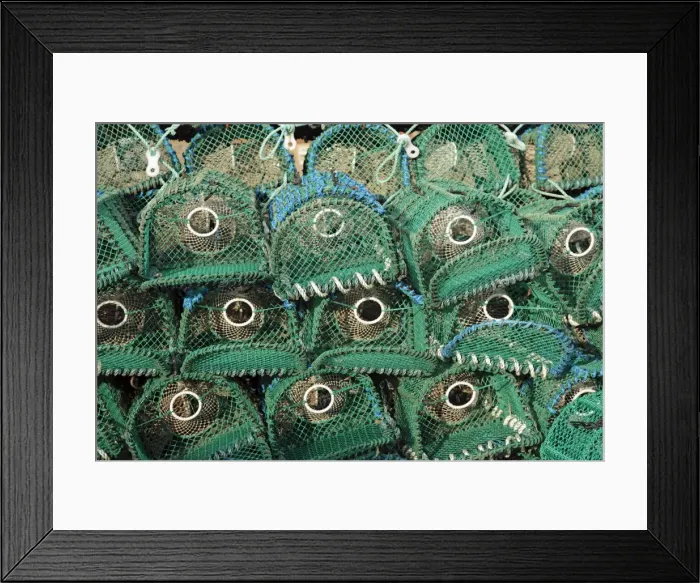 Framed Print : Picture No. 10984308 Framed Print : Picture No. 10984308