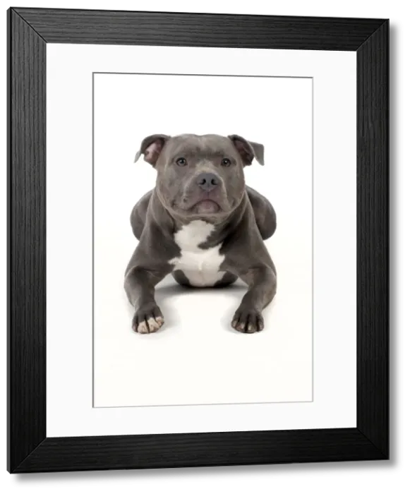 Framed Print : Picture No. 10983750 Framed Print : Picture No. 10983750