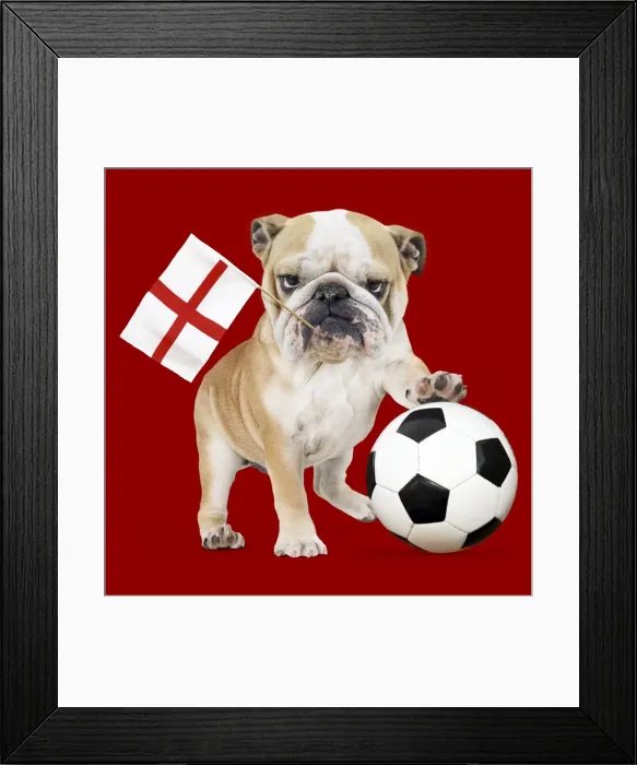 Framed Print : Picture No. 10983699 Framed Print : Picture No. 10983699