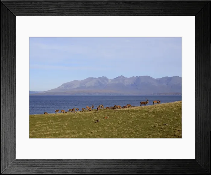Framed Print : Picture No. 10983731 Framed Print : Picture No. 10983731