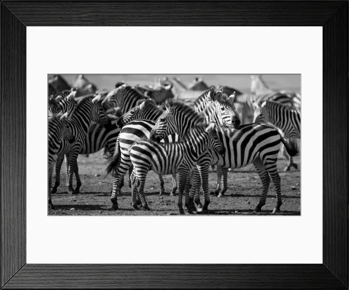 Framed Print : Picture No. 10984292 Framed Print : Picture No. 10984292