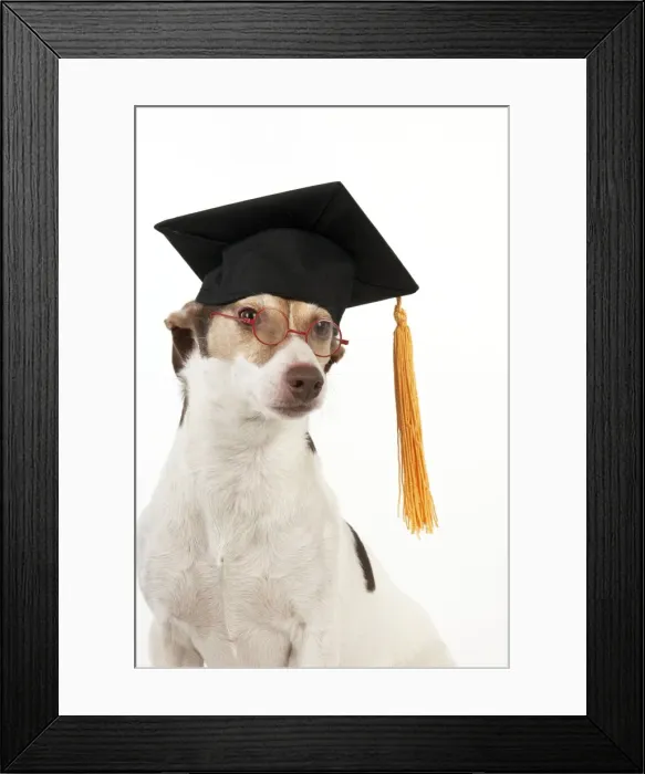 Framed Print : Picture No. 10983670 Framed Print : Picture No. 10983670
