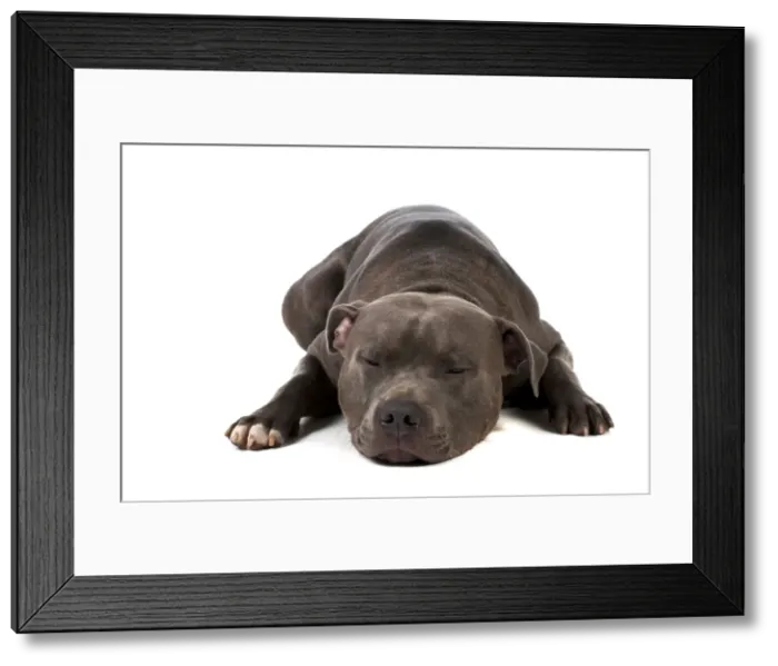 Framed Print : Picture No. 10983752 Framed Print : Picture No. 10983752