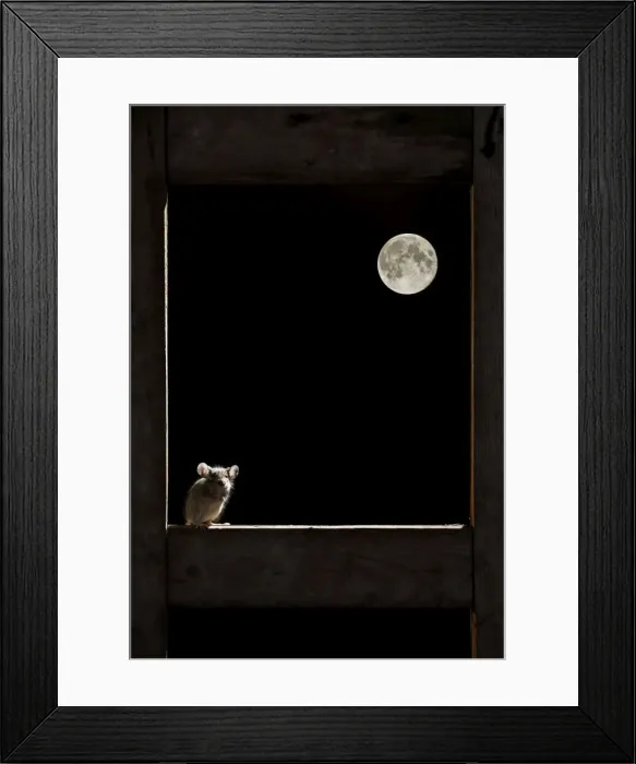 Framed Print : Picture No. 10983695 Framed Print : Picture No. 10983695
