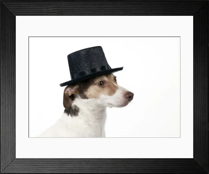 Framed Print : Picture No. 10983673