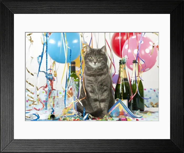 Framed Print : Picture No. 10983661