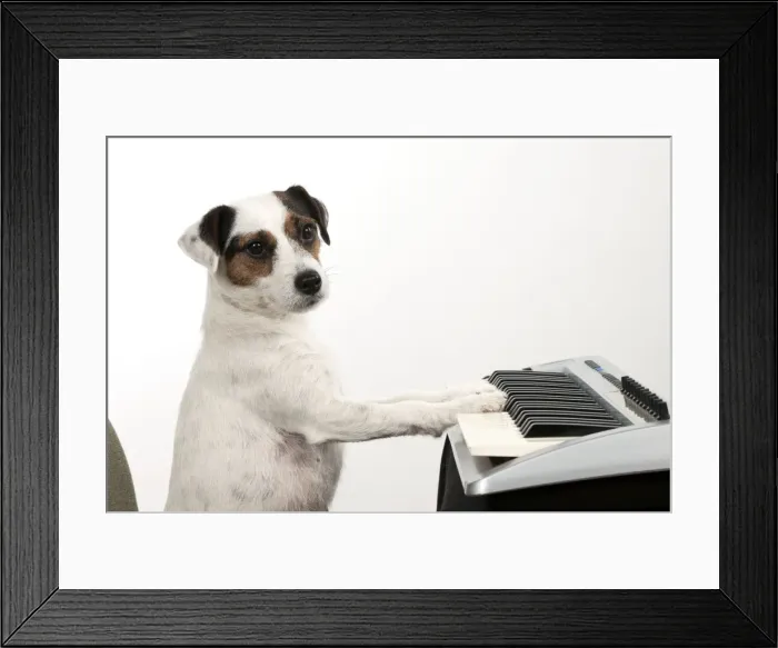 Framed Print : Picture No. 10983675 Framed Print : Picture No. 10983675