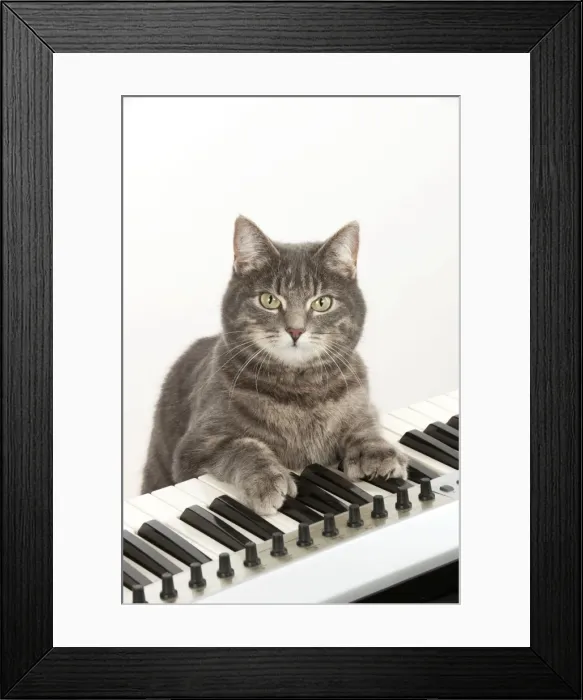 Framed Print : Picture No. 10983679 Framed Print : Picture No. 10983679