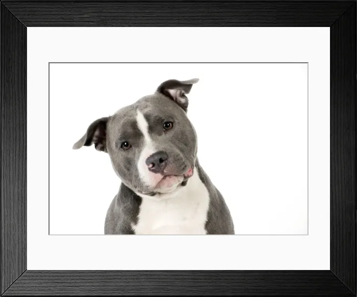 Framed Print : Picture No. 10983746 Framed Print : Picture No. 10983746