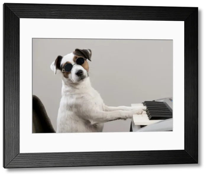 Framed Print : Picture No. 10983676