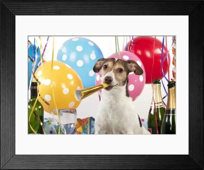 Framed Print : Picture No. 10983669 Framed Print : Picture No. 10983669
