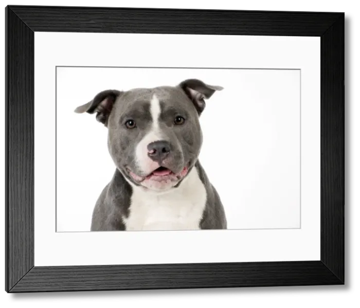 Framed Print : Picture No. 10983745
