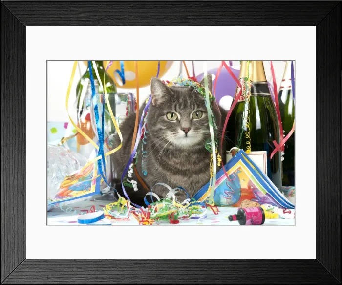 Framed Print : Picture No. 10983663 Framed Print : Picture No. 10983663