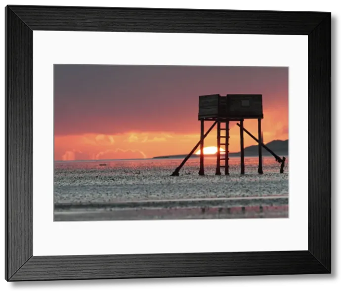 Framed Print : Picture No. 10984313