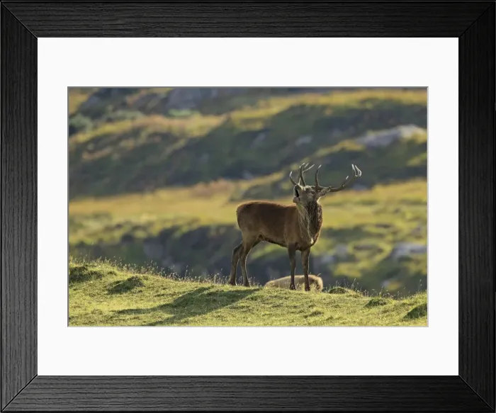 Framed Print : Picture No. 10983732 Framed Print : Picture No. 10983732