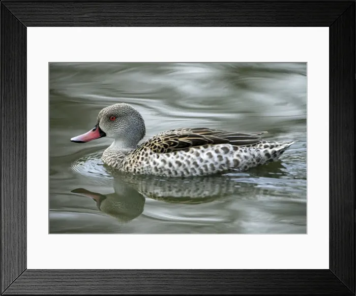 Framed Print : Picture No. 10984306 Framed Print : Picture No. 10984306