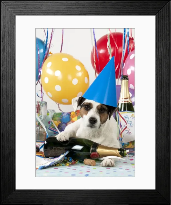 Framed Print : Picture No. 10983666 Framed Print : Picture No. 10983666