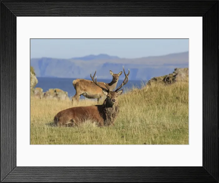 Framed Print : Picture No. 10983730 Framed Print : Picture No. 10983730