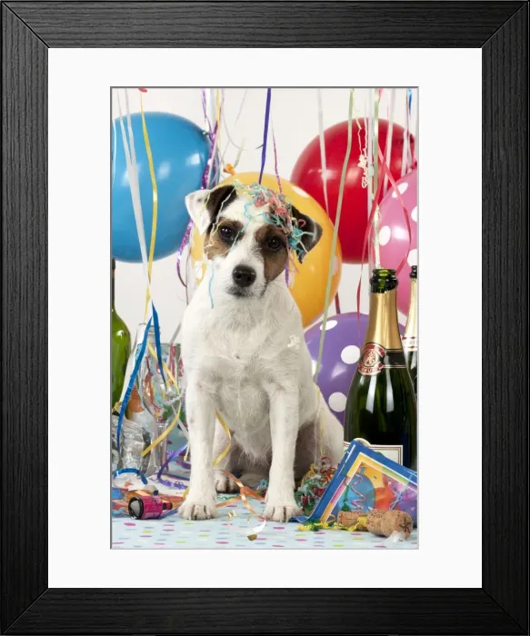 Framed Print : Picture No. 10983665