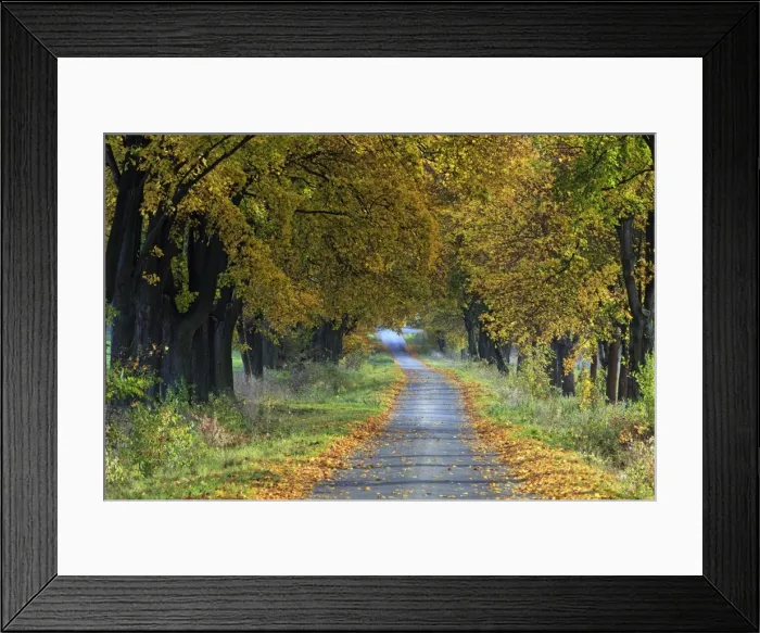 Framed Print : Picture No. 10984689 Framed Print : Picture No. 10984689