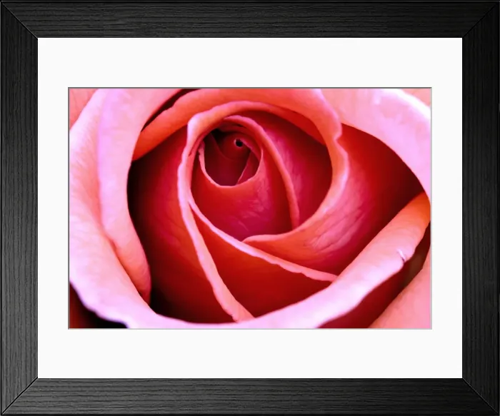 Framed Print : Picture No. 10984701 Framed Print : Picture No. 10984701