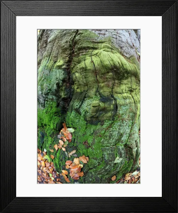 Framed Print : Picture No. 10984692 Framed Print : Picture No. 10984692